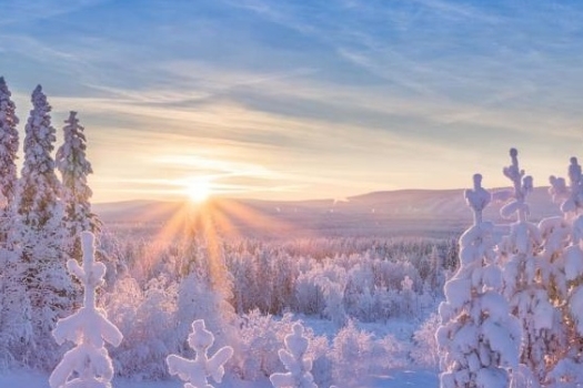 ZIMOWISKO DLA DZIECI ROLNIKÓW 2026